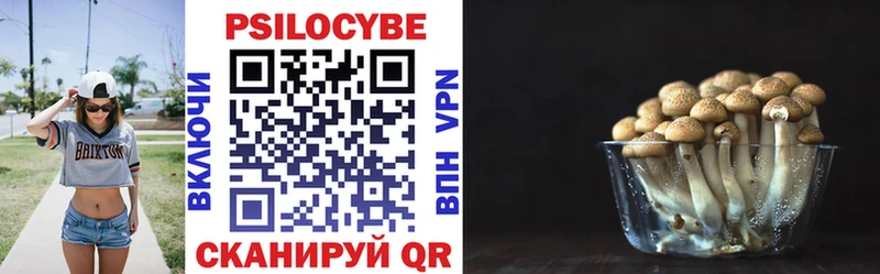 Галлюциногенные грибы Cubensis  где продают наркотики  Нариманов 